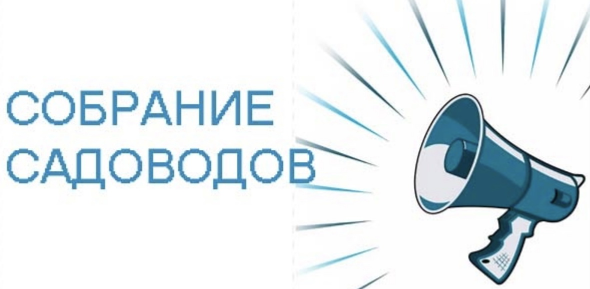 Общее собрание членов СНТ в 2024г.